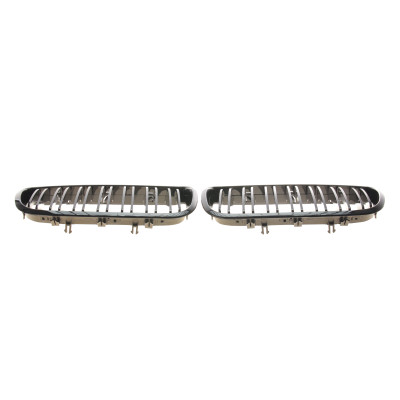 Решітка радіатора BMW X5 (E70)/X6 (E71) 06-14 (к-кт)