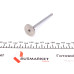 Клапан (впуск/випуск) BMW 3(E46)/5(E60)/6(E63) 2.0D 16V/2.5D 24V 99-10 (26x6x99.9) (азотування)