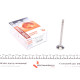 Клапан (впуск/випуск) BMW 3(E46)/5(E60)/6(E63) 2.0D 16V/2.5D 24V 99-10 (26x6x99.9) (азотування)