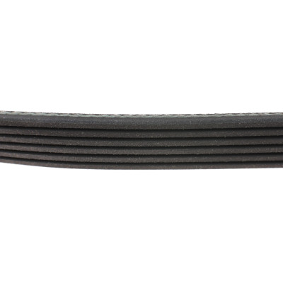 Ремінь генератора Fiat Doblo 1.3D Multijet/ Ducato 2.0JTD 01-/ VW Caddy/ Ford Fiesta 1.25-1.6 95-