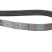 Ремінь генератора BMW 5 (E39/G30/F90)/7 (E38/F01/F02/F03/F04) 3.5-6.0 96-