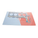 Прокладка ГБЦ BMW 3 (F30/F80)/5 (G30/F90)/X4 (G02/F98) 15- (0.70mm) B46/B48
