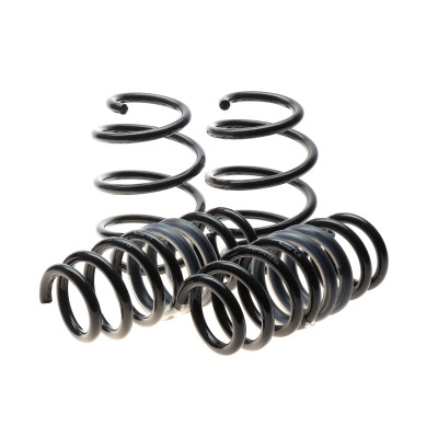 Комплект пружин (Pro-Kit) BMW X3 (G01/F97)/X4 (G02/F98) 3.0M (S58) 19- (4 шт.) (без регул. дор.просв.)
