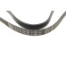 Ремінь генератора Citroen Berlingo 1.6HDi 05-11/Jumpy 2.0 00-06 (6PK1705)