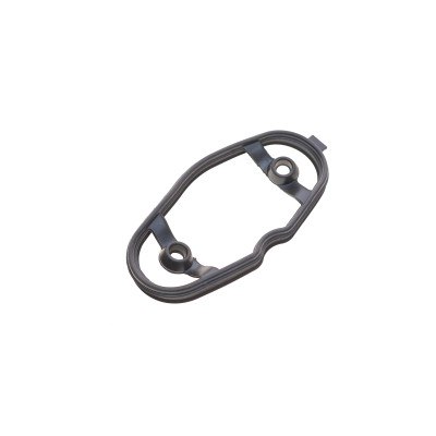 Прокладка насоса паливного BMW 3 (F30/F31/F34/F35)/5 (F10/F11)/X5 (F15/F85) 09- N20/N63/N26