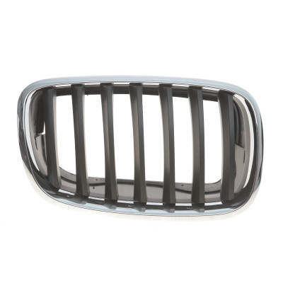Решітка радіатора BMW X5 (E70)/X6 (E71) 06-14 (R)