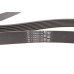 Ремінь генератора BMW X5 (E70) 4.8i 07-08/Renault Master/Opel Movano 2.3 dCi/CDTI 10- (7PK1666)