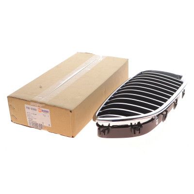 Решітка радіатора BMW 5 (F10) 13-16 (R)