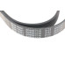 Ремінь генератора VW LT 2.5TDI -06/T4 2.5 91-03/Ford Connect 1.8 TDCi 02-07/ Opel Astra 1.7 07-