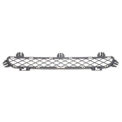 Решітка бампера BMW X3 (F25) 09-17 (посередині)