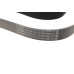 Ремінь генератора BMW 5 (F10/F11)/X3 (F25) 2.5/3.0i 09-13 (N52/N53) (8PK1786)
