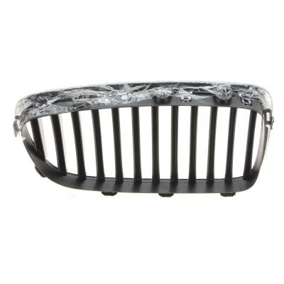 Решітка радіатора BMW 5 (F10) 13-16 (L)