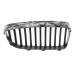 Решітка радіатора BMW 5 (F10) 13-16 (L)