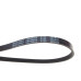 Ремінь генератора Suzuki Swift 1.0i 95-05/ Honda Civic 1.4-1.6 94-01/ Nissan Primera1.6-2.0 96-02