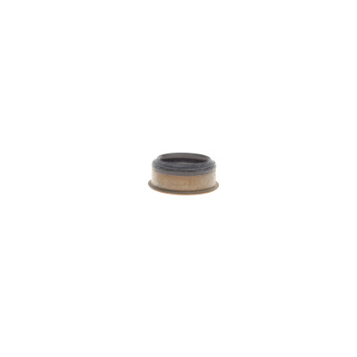 Фільтр АКПП BMW 3 (E90/91/92/93)/X3 (E84) 2.0/2.5/3.0 03-13 (N45/N46/N52/N53) (з прокладкою)