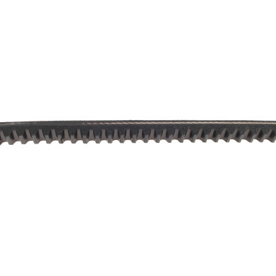 Ремінь генератора VW LT 2.4D/TD -96 (10x813) Ремінь генератора VW LT 2.4D/TD -96 (10x813)