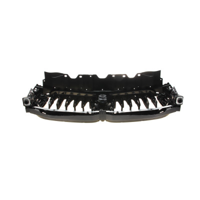Решітка радіатора BMW X5 (G05/F95) 18-