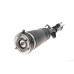 Подушка пневмопідвіски (спереду) BMW X5 (E53) 00-06 (L)