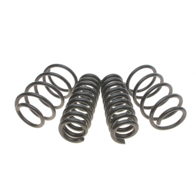Комплект пружин (Pro-Kit) BMW X1 (E84) 09-15 (4 шт.) (для авт. без рег. дор. просвіту)