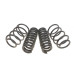 Комплект пружин (Pro-Kit) BMW X1 (E84) 09-15 (4 шт.) (для авт. без рег. дор. просвіту)