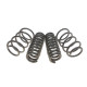 Комплект пружин (Pro-Kit) BMW X1 (E84) 09-15 (4 шт.) (для авт. без рег. дор. просвіту)