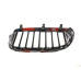 Решітка радіатора BMW 7 (G11/G12) 15- (R)