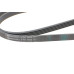 Ремінь генератора BMW 3 (E36) 318tds 95-00/Chevrolet Niva 1.7 4x4 02- Ремінь генератора BMW 3 (E36) 318tds 95-00/Chevrolet Niva 1.7 4x4 02-