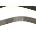 Ремінь генератора BMW 3 (F30/F80)/5 (F10)/ X5 (F15/F85)/ X6 (F16/F86) 13- (8PK1390)