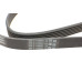 Ремінь генератора Opel Astra J/Corsa D 1.7CDTI 09-15/Ford Focus 1.8TDCi 98-04