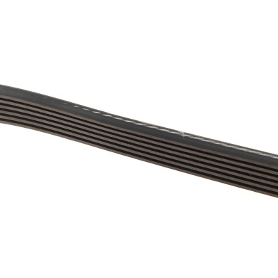 Ремінь генератора Fiat Scudo/Citroen Berlingo/VW Golf IV 1.8/1.9TDI 97- (6PK1660)