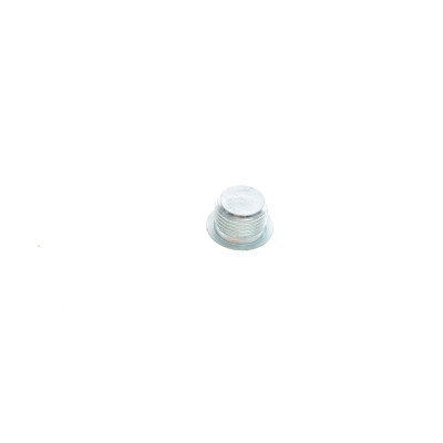 Болт зливу оливи BMW 1 (F20/F21) 1.6 i (N13) 11-  (M18x1,5)