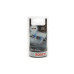 Автолампа W5W 12V 5W W2.1x9.5d  Ultra White 4200K (BL)