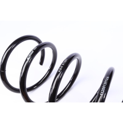Комплект пружин (Pro-Kit) BMW 3 (E90) 04-11 (4 шт.)