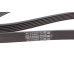 Ремінь генератора VW Golf 1.6FSI 02-06/BMW 3 (E46)/5 (E39/E60) 2.0-3.0 97-10/Ford Focus/Kuga 1.5 14-
