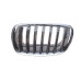 Решітка радіатора BMW X5 (E70)/X6 (E71) 06-14 (L)