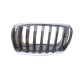 Решітка радіатора BMW X5 (E70)/X6 (E71) 06-14 (L)