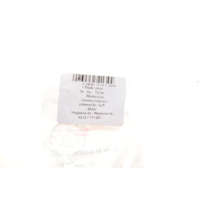 Повторювач повороту на крило BMW X5 (E70) 06-13 (L)