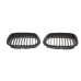 Решітка радіатора BMW 5 (E39) 00-03 (к-кт)