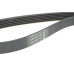 Ремінь генератора Citroen Jumper 1.9TD 94-02 (ALT,PS,AC)