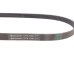 Ремінь генератора VW Crafter 2.0TDI 11-16/Golf 1.4/1.6 97-05/Audi A1/A2/A4 1.4-2.0 01-18 Ремінь генератора VW Crafter 2.0TDI 11-16/Golf 1.4/1.6 97-05/Audi A1/A2/A4 1.4-2.0 01-18