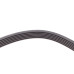 Ремінь генератора VW LT 2.8TDI 97-06/Ford Transit 2.2TDCi 11-14/Citroen Jumper 2.2HDi 11-