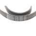 Ремінь генератора VW T5/Amarok 2.0TDI 09-/Ford Focus/Kuga/Galaxy 98-/Opel Astra J/Insignia A 1.6 08-