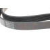 Ремінь генератора VW LT 2.5TDI -06/T4 2.5 91-03/Ford Connect 1.8 TDCi 02-07/ Opel Astra 1.7 07-