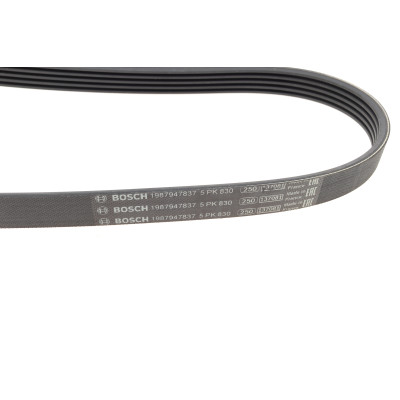 Ремінь генератора Opel Omega B 2.5DTI 01-03 (5PK830)