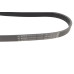 Ремінь генератора Opel Omega B 2.5DTI 01-03 (5PK830)