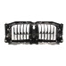Решітка радіатора BMW X5 (G05/F95) 18-