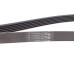 Ремінь генератора Skoda Fabia/VW Passat B6/B7 09-14/Citroen Berlingo/Peugeot 98-/BMW/Chevrolet 11-