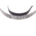 Ремінь генератора Skoda Fabia/VW Passat B6/B7 09-14/Citroen Berlingo/Peugeot 98-/BMW/Chevrolet 11-