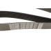 Ремінь генератора BMW 3 (F30/F80)/5 (F10)/ X5 (F15/F85)/ X6 (F16/F86) 13- (8PK1390) (N55)