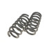 Комплект пружин (Pro-Kit) BMW X5 (G05/F95)/X6 (G06/F96) 3.0D/4.4 B57/N63 18- (4 шт.)